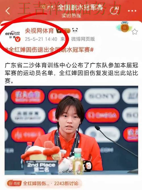 中国跳水队防线失误导致痛失好局 赛后分析指出关键问题 中国跳水队防线失误导致痛失好局 赛后分析指出关键问题